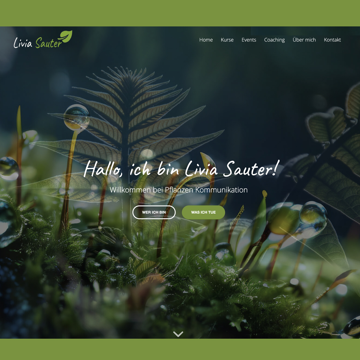 Coming soon! – Livia Sauter Plant Communication